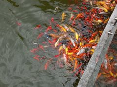 -遵义会议纪念馆