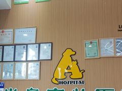 -半岛宠物医院24小时·内窥镜·牙科·碎石中心(府城大道店)