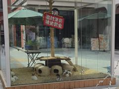 -T28PARK公园里
