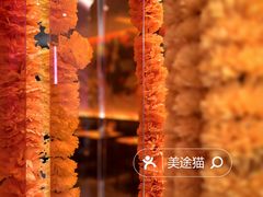 -墨纪Mojí墨西哥餐厅(官舍店)