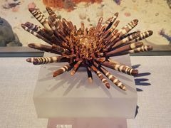 -中国（海南）南海博物馆