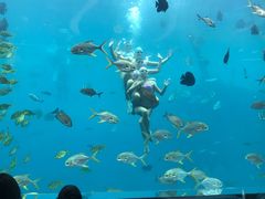 -瑞德姆美人鱼海底演艺主题餐厅(亚龙湾店)