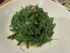木姜子拌丝瓜尖-一坐一忘云南菜(三里屯店)