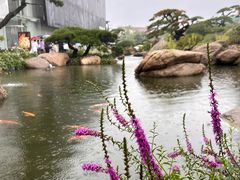 -罗红摄影艺术馆