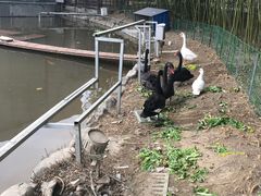 -春晖园度假酒店温泉