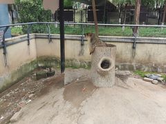 -南昌动物园