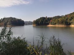 -千岛湖龙川湾