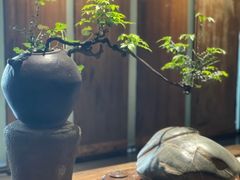 -陶醉馆·艺术雅集私宴