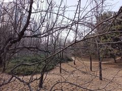 -元大都城垣遗址公园