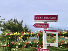 -王莽岭风景区