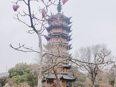 -红梅公园