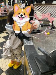 -MELAND CLUB亲子乐园·派对·餐厅(北京芳圆里ID MALL店)