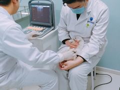-中农大我爱我爱24h动物医院·中医针灸·猫专科·骨科医疗中心(双井店)