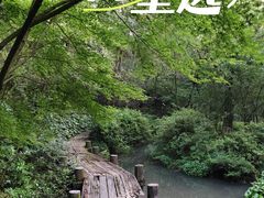 -杭州半山国家森林公园