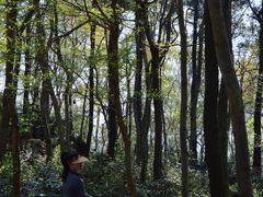 -紫金山山顶公园
