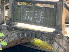 -白帝城·瞿塘峡景区