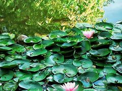 -三里河公园