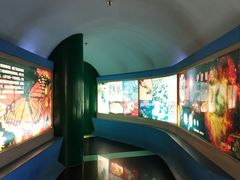 -上海昆虫博物馆