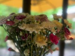 -春暖花开(西溪店)