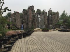 -秀丽东方