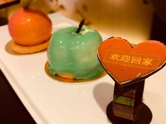 -成都保利公园皇冠假日酒店(熊猫基地店)