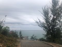 -广东惠东海龟国家级自然保护区