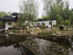 -武清南湖绿博园