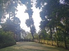 -凤栖山
