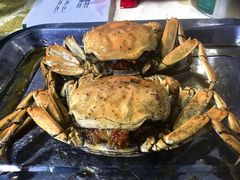 -聚味瞿记·龙虾堂(树木岭店)