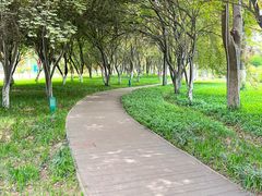 -沙澧河风景区