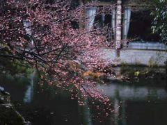 -乾园.魏庐湖景餐厅(花港店)