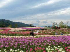 -径山花海