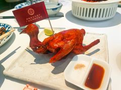 -侨美食家·41年地道粤菜(珠江新城店)