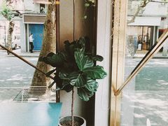 -KYO COFFEE(胶州路店)