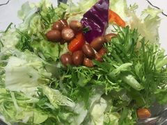 养生大拌菜-峨嵋酒家(地安门店)