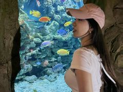 -长鹿旅游休博园