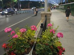 -新港湾大酒店-西餐厅