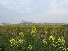 -中国天府农业博览园