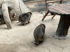-杭州野生动物世界
