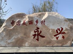 -千年银杏谷文化旅游区