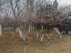 -济南国际园博园