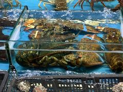 -无锡天鹏食品城