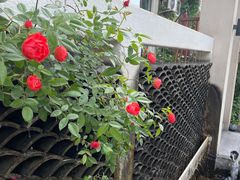 -瓦舍茶馆(聚源路店)