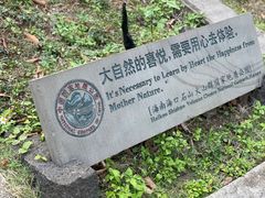 -海口火山口国家地质公园