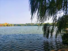 -西安浐灞国家湿地公园