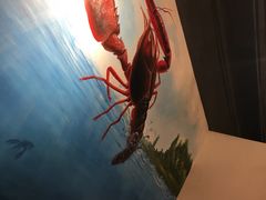 -虾满堂(瑞虹店)