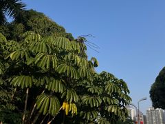 -南宁南湖公园