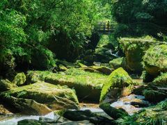 -碧峰峡风景区