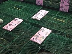 -荔城生鲜盛宴(番禺旗舰店)