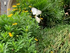 -鱼桥巷·美学川菜